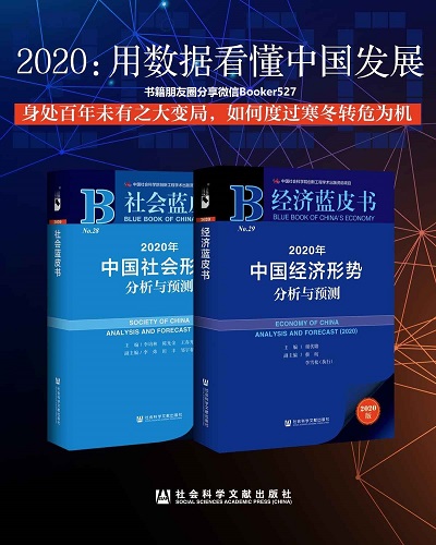 2020：用数据看懂中国发展pdf电子书.jpg