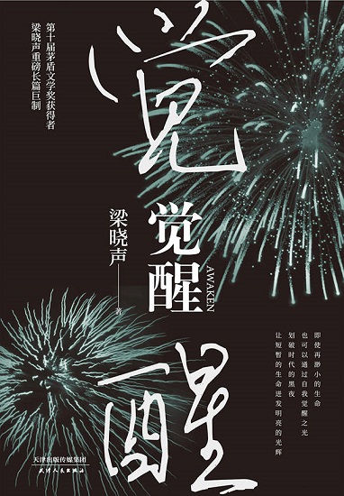 觉醒（2020年精装版）.jpg