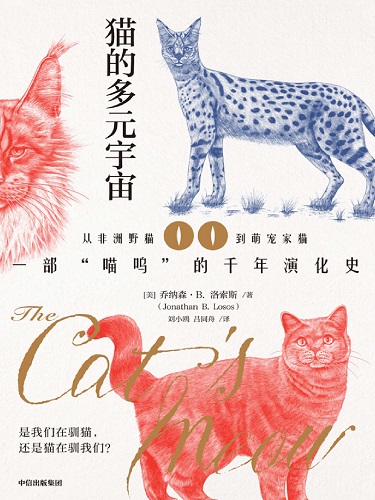 猫的多元宇宙.jpg