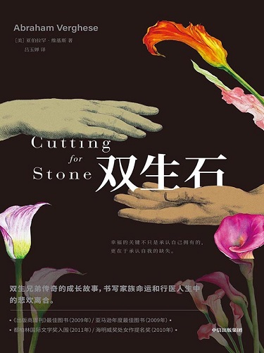 双生石.jpg