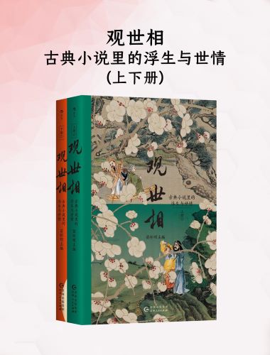 观世相：古典小说里的浮生与世情（上下册）.jpg