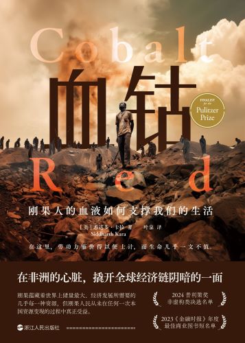 血钴：刚果人的血液如何支撑我们的生活.jpg