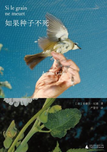 如果种子不死.jpg