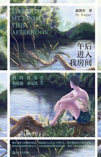 午后进入我房间.jpg